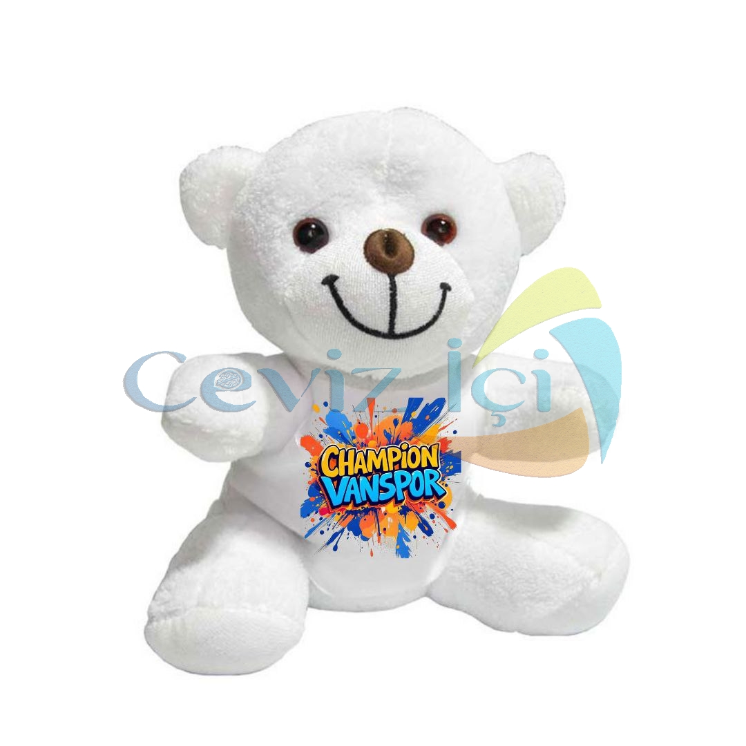 Özel Tasarım Peluş Ayıcık