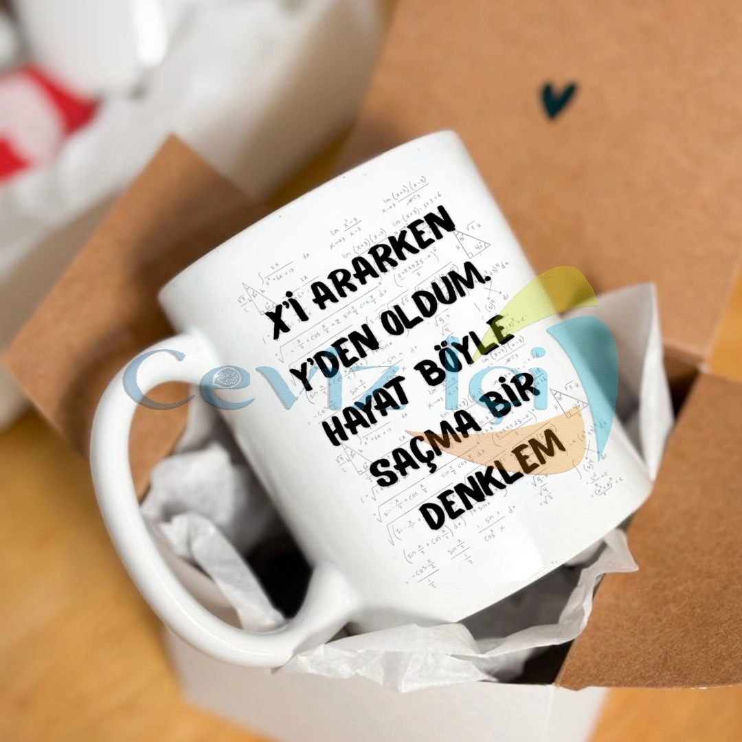 Öğretmenler Günü Mizahi Porselen Kupa