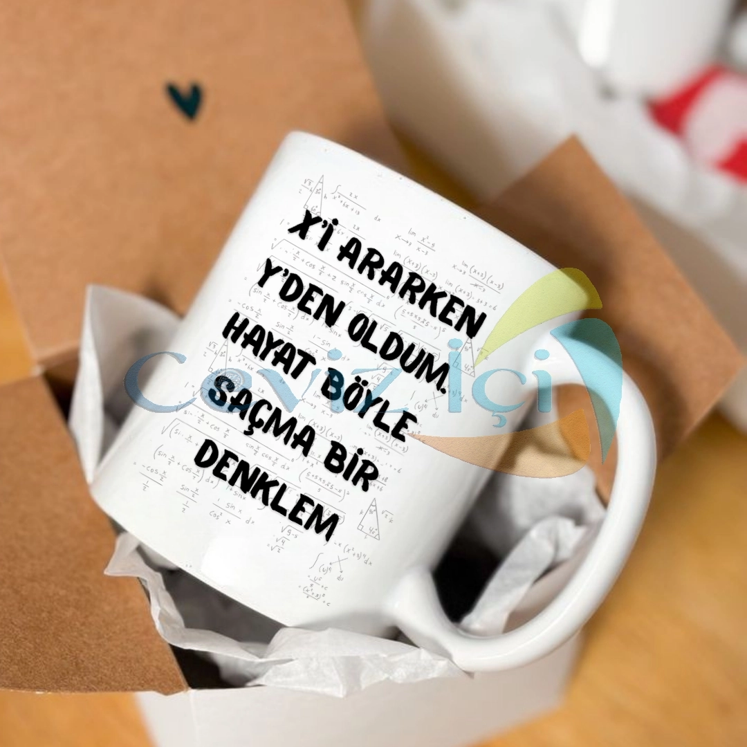 Öğretmenler Günü Mizahi Porselen Kupa