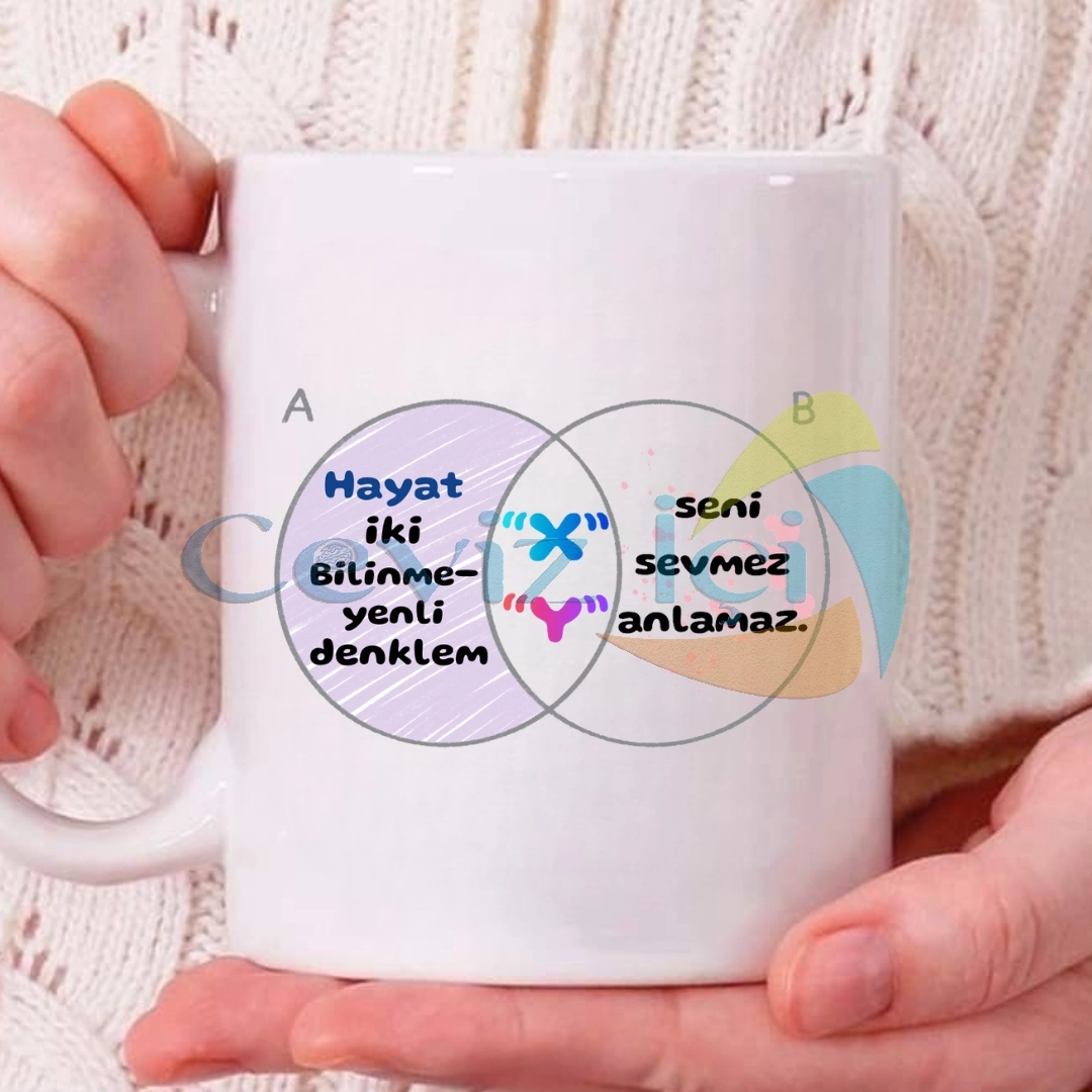 Öğretmenler Günü Mizahi Porselen Kupa